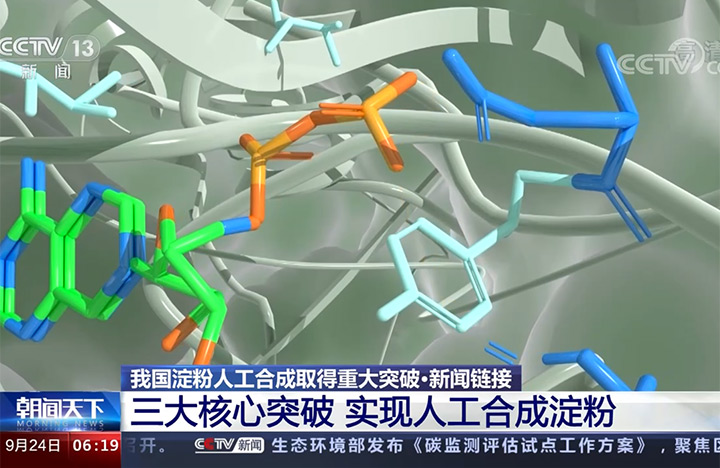 【朝闻天下】我国淀粉人工合成取得重大突破·新闻链接 三大焦点突破 实现人工合成淀粉